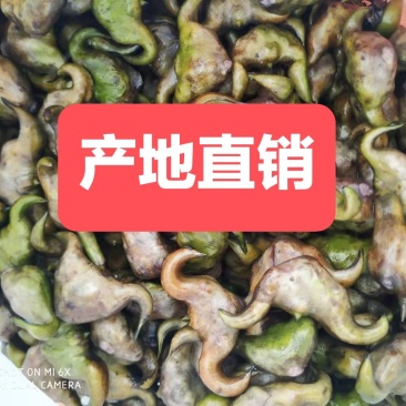菱角湖北黄冈蕲春大别山牛角菱角青菱角