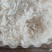 长粒香大米