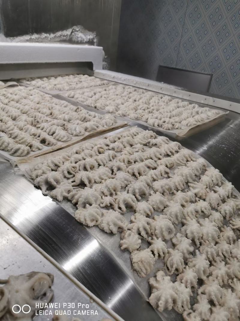日照速冻八爪鱼单冻去脏去牙小章鱼大量供应价格美丽