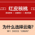 新货云南稀有红衣核桃新鲜薄皮纸皮核桃红皮红心核桃红仁坚果