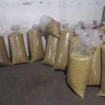 桂花之乡咸宁无硫桂花茶桂花干新鲜干桂花食用级批发