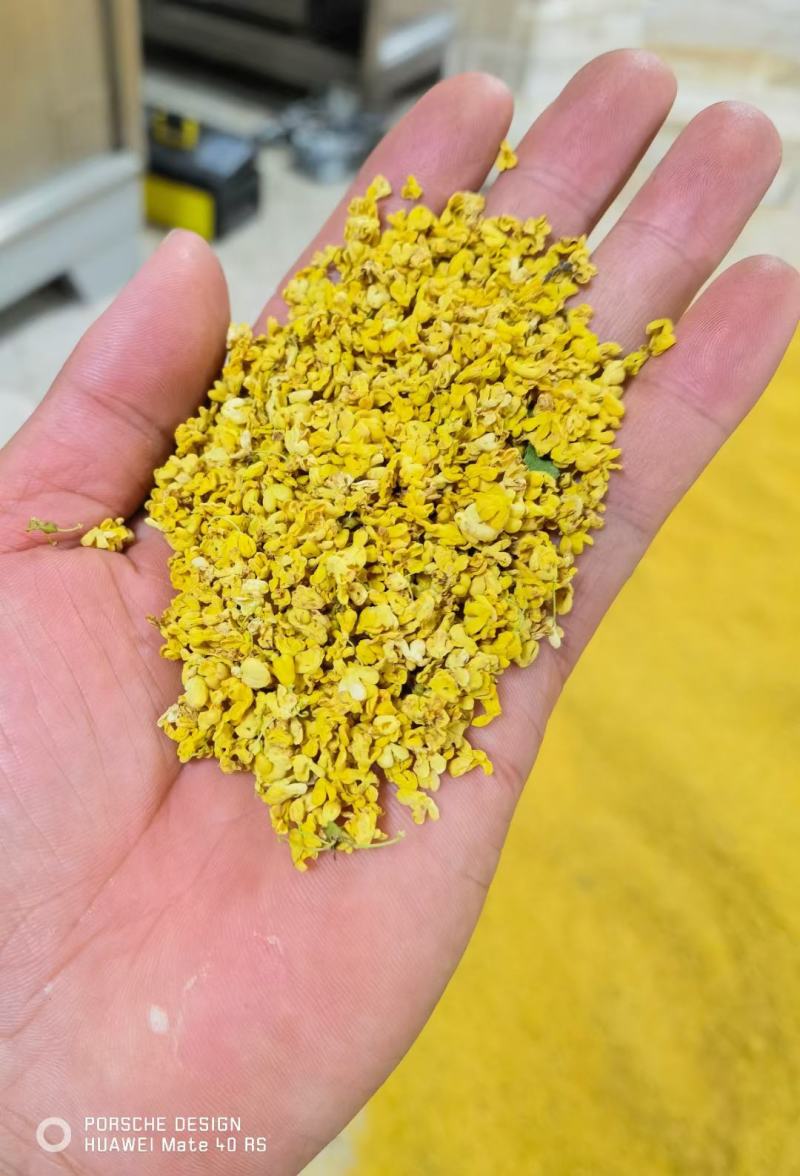 桂花之乡咸宁无硫桂花茶桂花干新鲜干桂花食用级批发