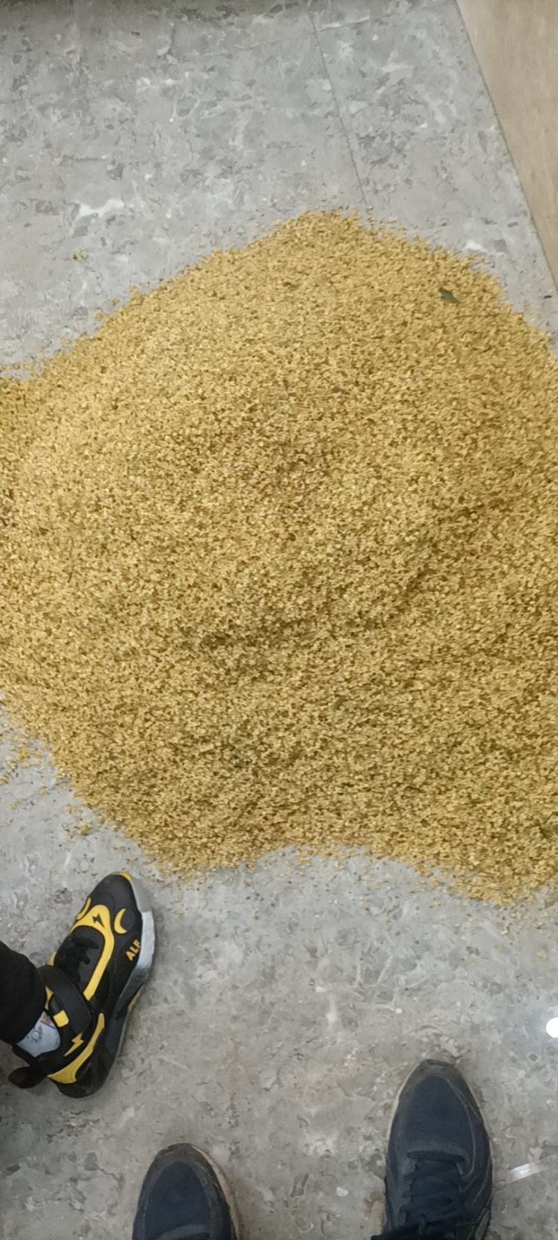 桂花之乡咸宁无硫桂花茶桂花干新鲜干桂花食用级批发