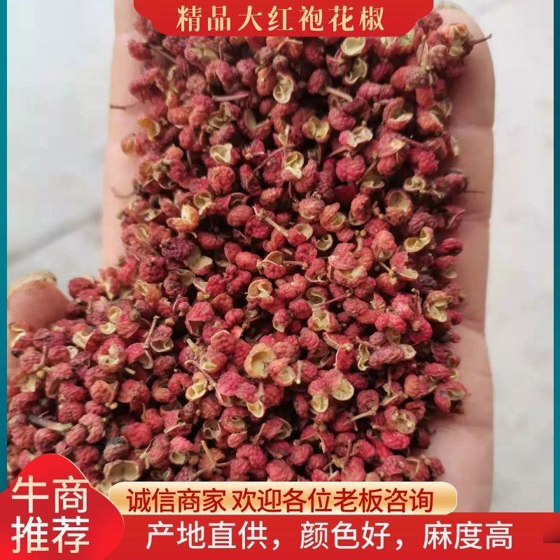 【大红袍花椒】陕西韩城二级花椒/香麻一手货源/保质全国发货