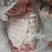 鳄鱼肉，商品鳄鱼