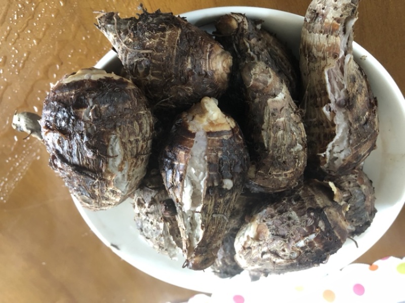 正宗荔浦小芋头，营养粗粮，荔浦直发一件代发