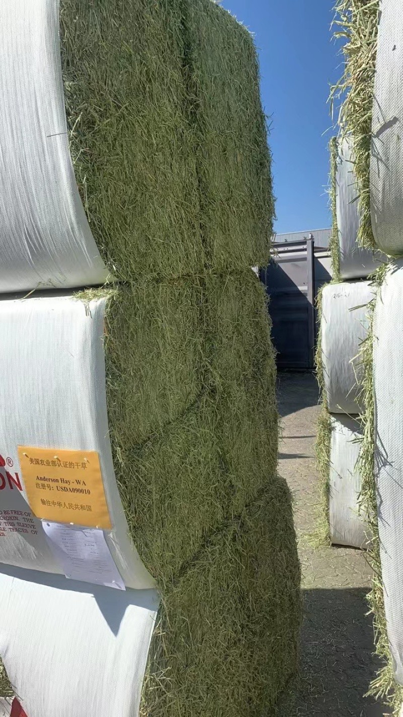 美国进口安德森苜蓿草