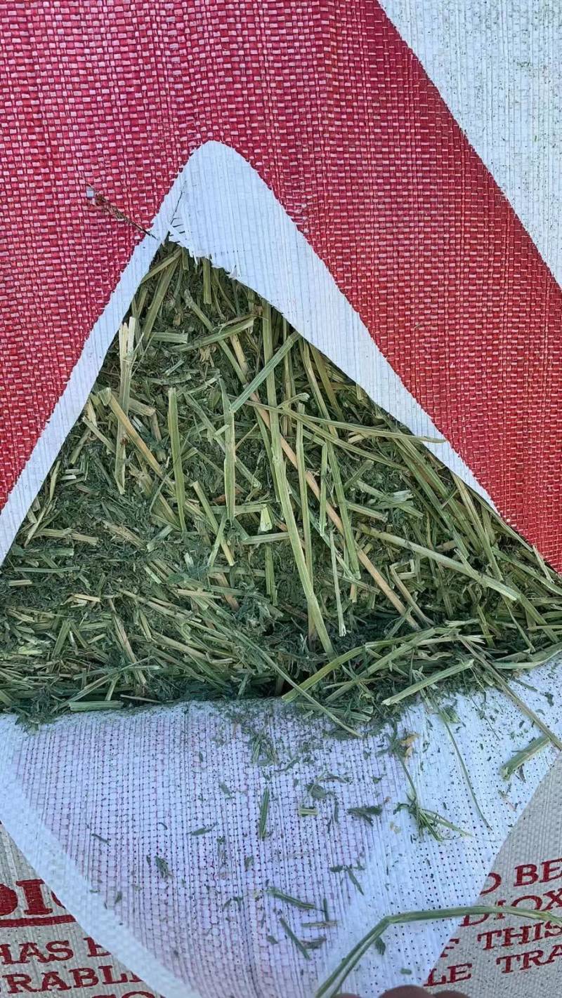 美国进口安德森苜蓿草
