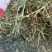 美国进口安德森苜蓿草