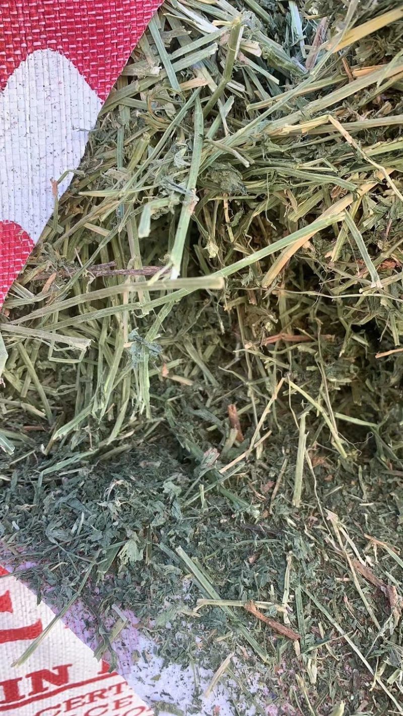 美国进口安德森苜蓿草