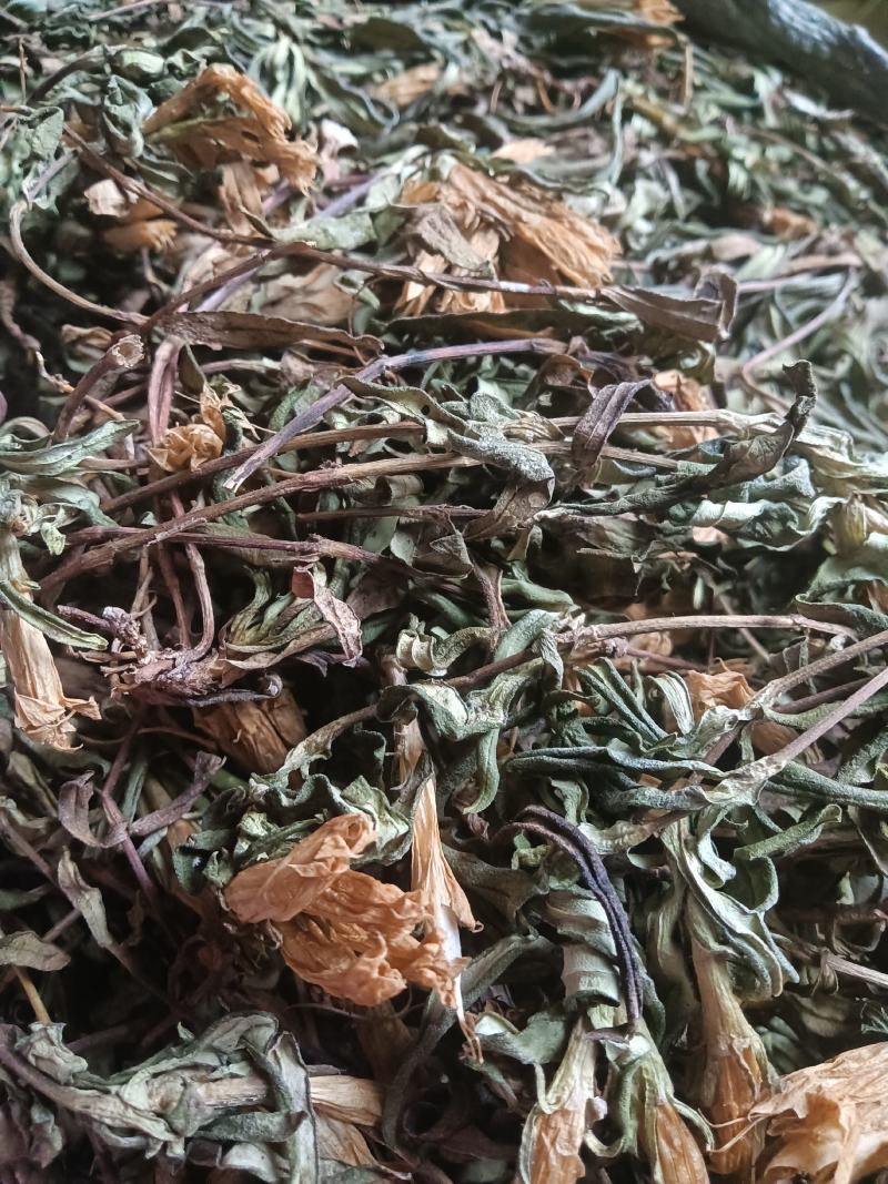 龙胆草，原生态龙胆草，它的别名又叫九头青