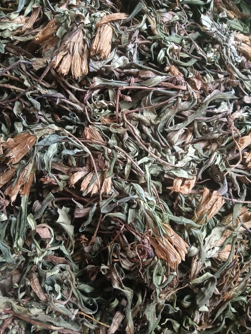 龙胆草，原生态龙胆草，它的别名又叫九头青