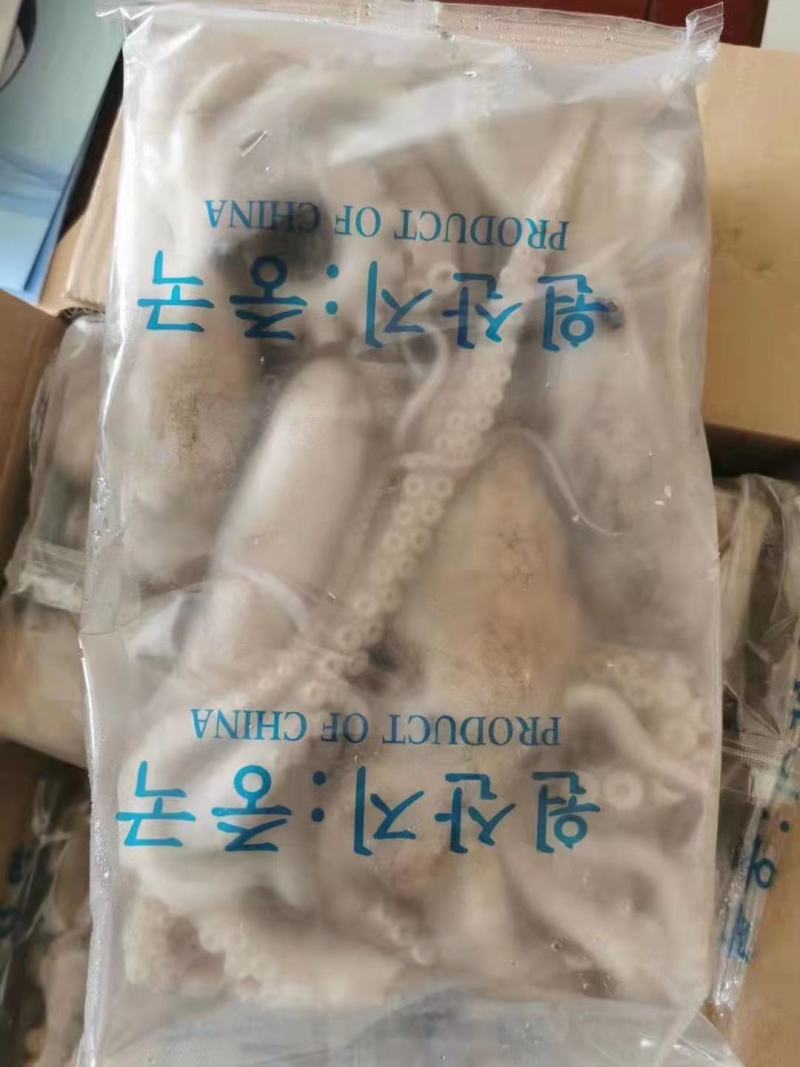 章鱼原浆章鱼八爪长腿章鱼长腿八爪鱼原浆八爪鱼
