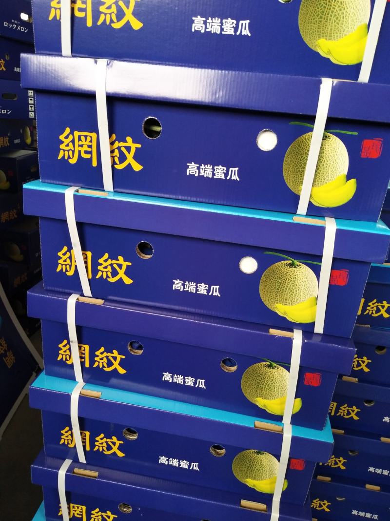 玫珑网纹甜瓜，产地直供，新鲜采摘，专供商超市场