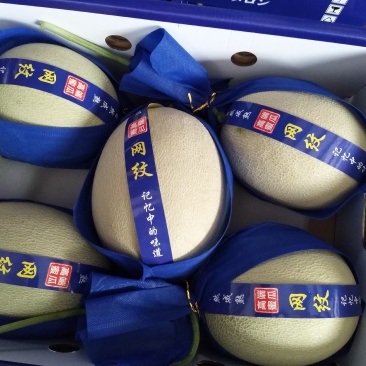 玫珑网纹甜瓜，产地直供，新鲜采摘，专供商超市场