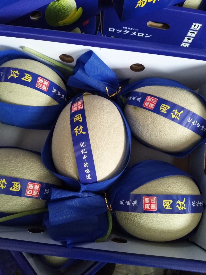 玫珑网纹甜瓜，产地直供，新鲜采摘，专供商超市场