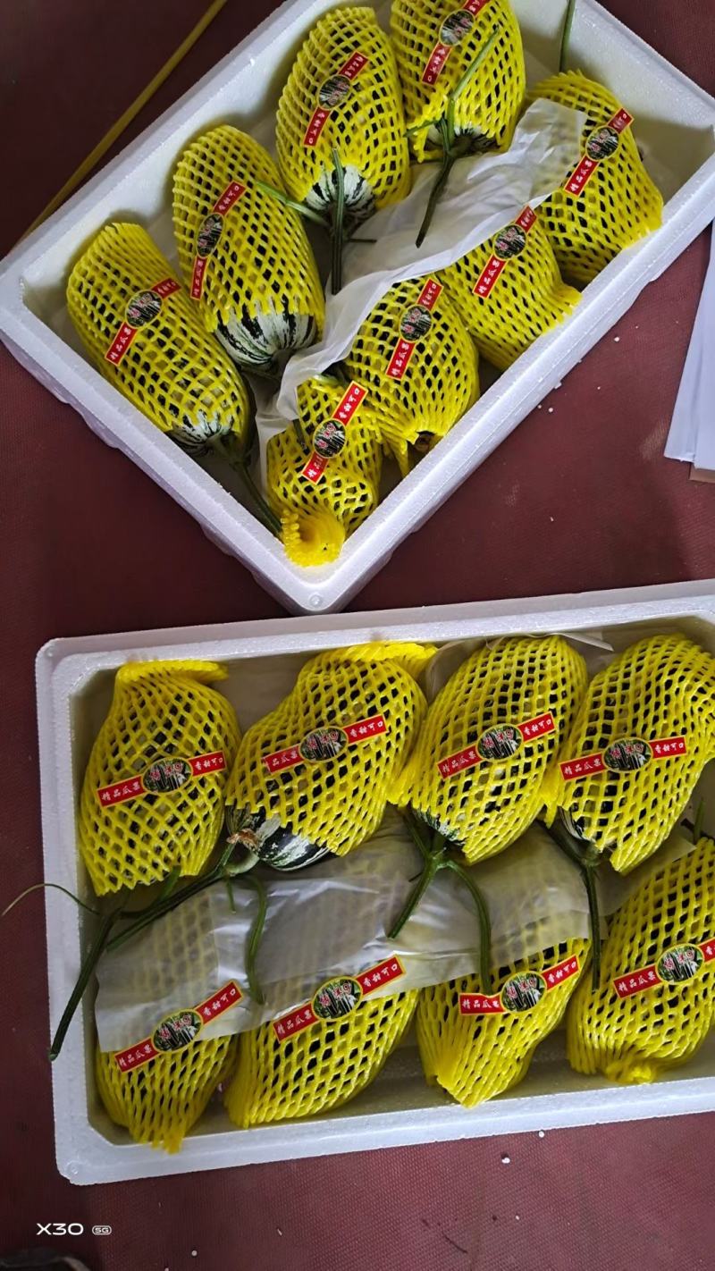 博洋9号甜瓜，产地直供，新鲜采摘，专供商超市场，电商微商