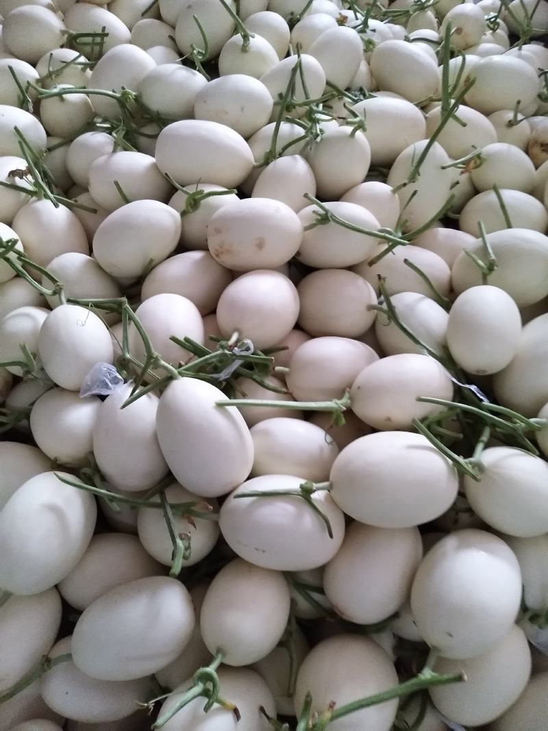 玉菇甜瓜，产地直供，新鲜采摘，