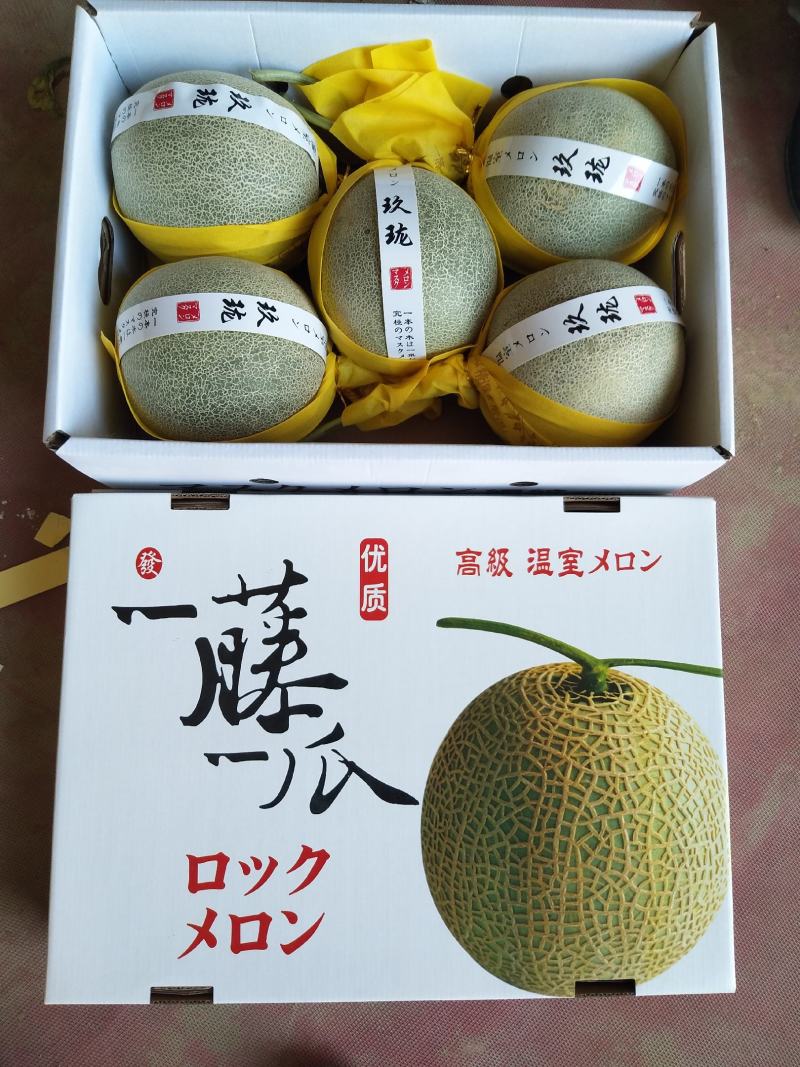 玫珑网纹甜瓜，产地直供，新鲜采摘，专供商超市场
