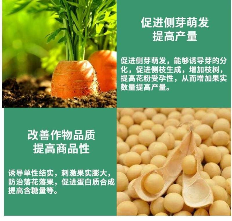 28表芸苔素内酯促进生长剂云台素增产解药害保花保果芸苔素