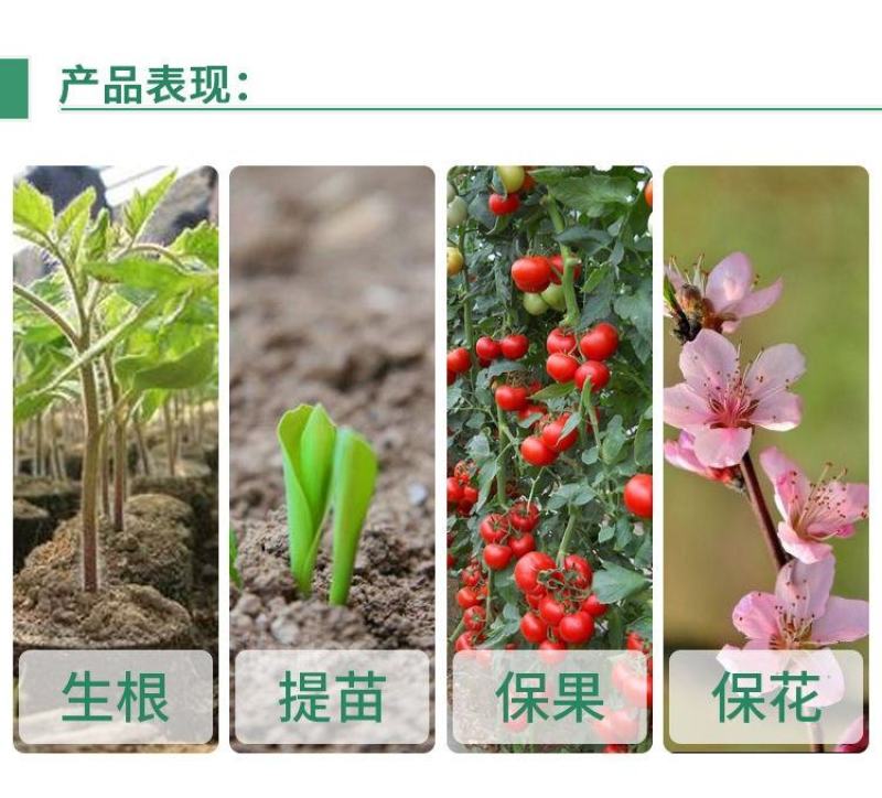 28表芸苔素内酯促进生长剂云台素增产解药害保花保果芸苔素