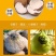 包邮海南新鲜椰子老椰子特产水果毛椰子【700克左右一个】
