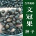 文冠果种子园林绿化花卉用种林木果树多年生观赏树木种子