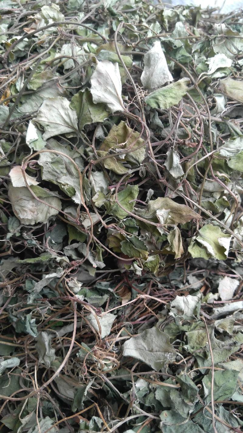 金钱草，四川地产野生大叶金钱草，筛选去杂干度好无霉