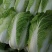 玲珑黄白菜，黄心大白菜