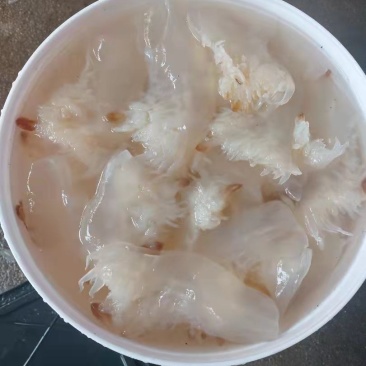 广西长花，大量供货，质量保证.一手货源.诚实守信.谢谢