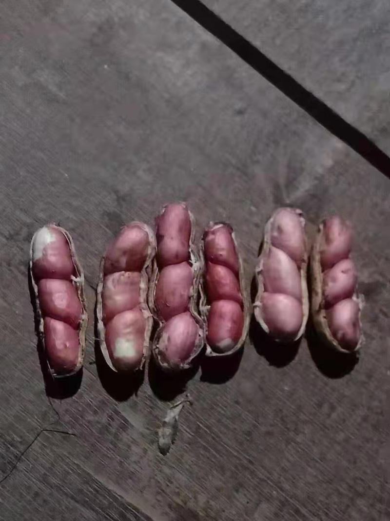 干花生