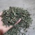 旱莲草干货干净无杂质量大从优欢迎选购！