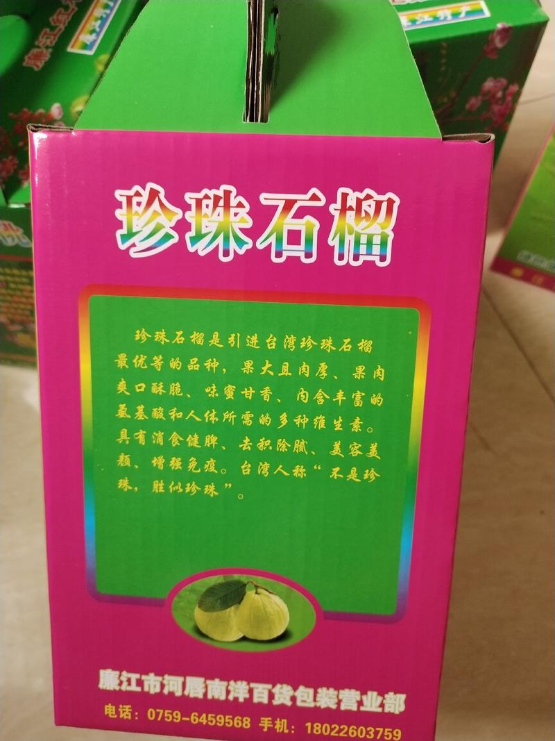 广东廉江市百果之乡白肉番石榴俗称珍珠石榴