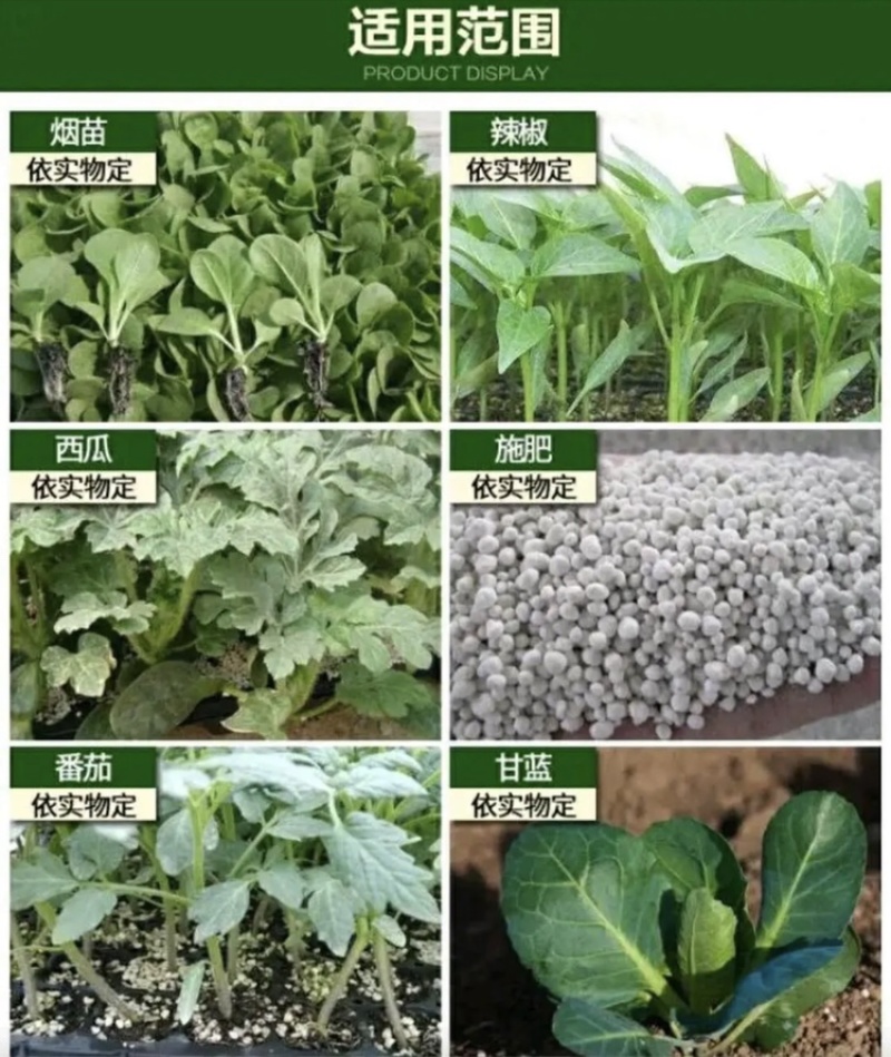 蔬菜栽苗器，西瓜秒栽器番茄辣椒秒栽器，省时省力