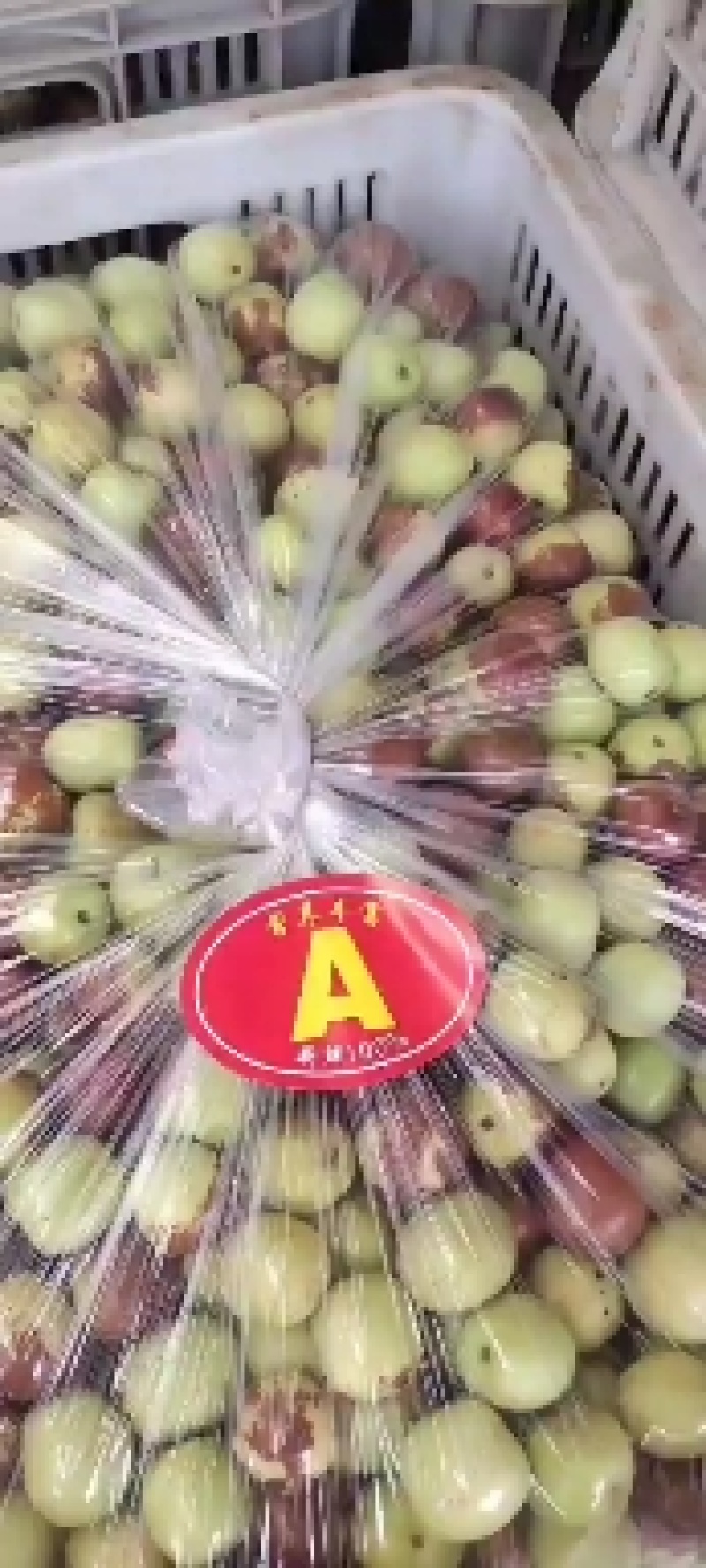 冬枣
