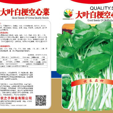 大叶白梗空心菜种子，产量高。纯度高，