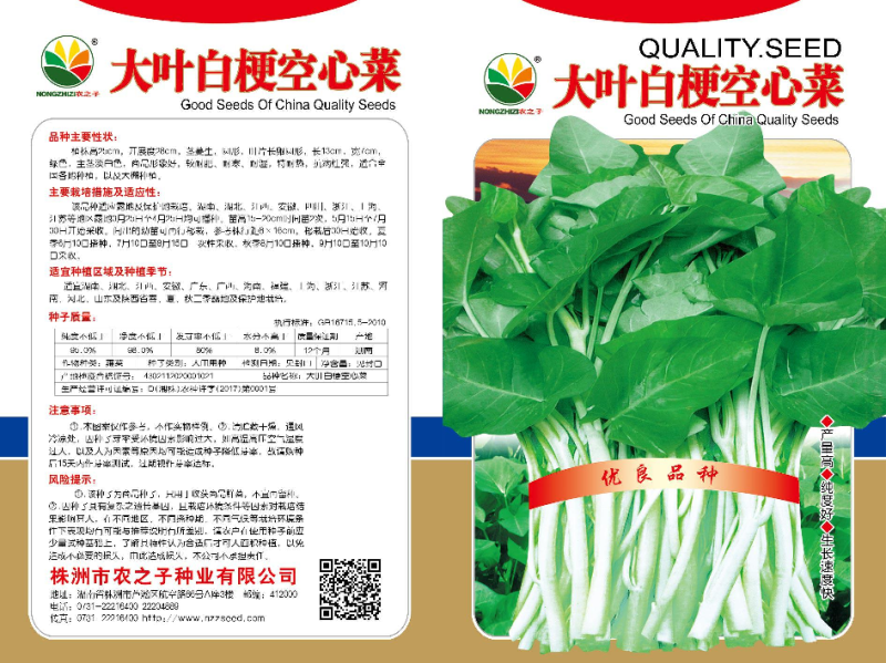 大叶白梗空心菜种子，产量高。纯度高，