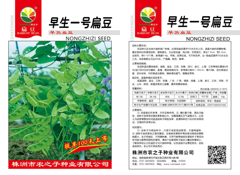 早生一号扁豆种子，早熟，100天左右上市