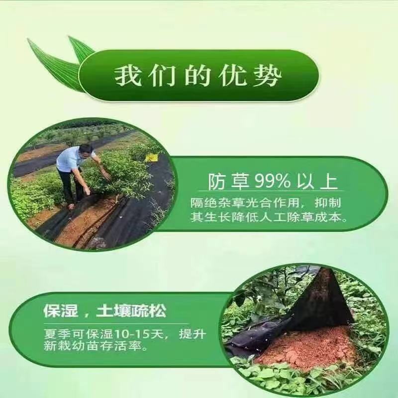 新款全新材料绿黑色生态可降解防草布除草布（卷装）