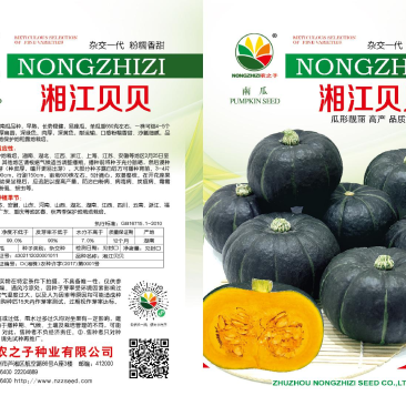 湘江贝贝南瓜种子，粉糯香甜，杂交一代，