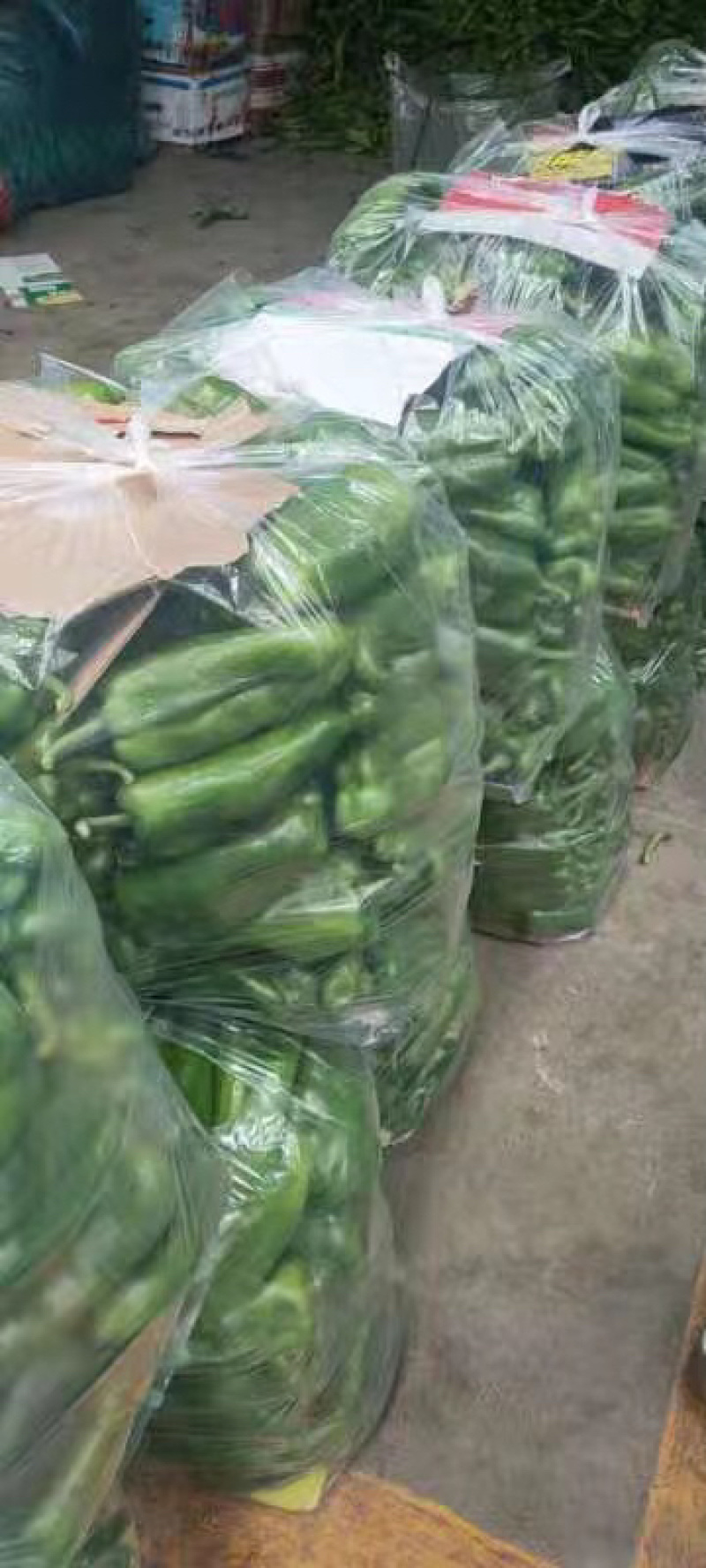 精品太空椒，圆椒，产地供应，量大品优，价格合理