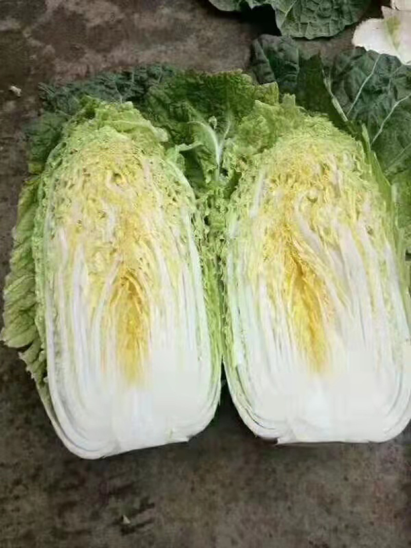 精品大白菜，产地直发，诚信代办，物美价廉。