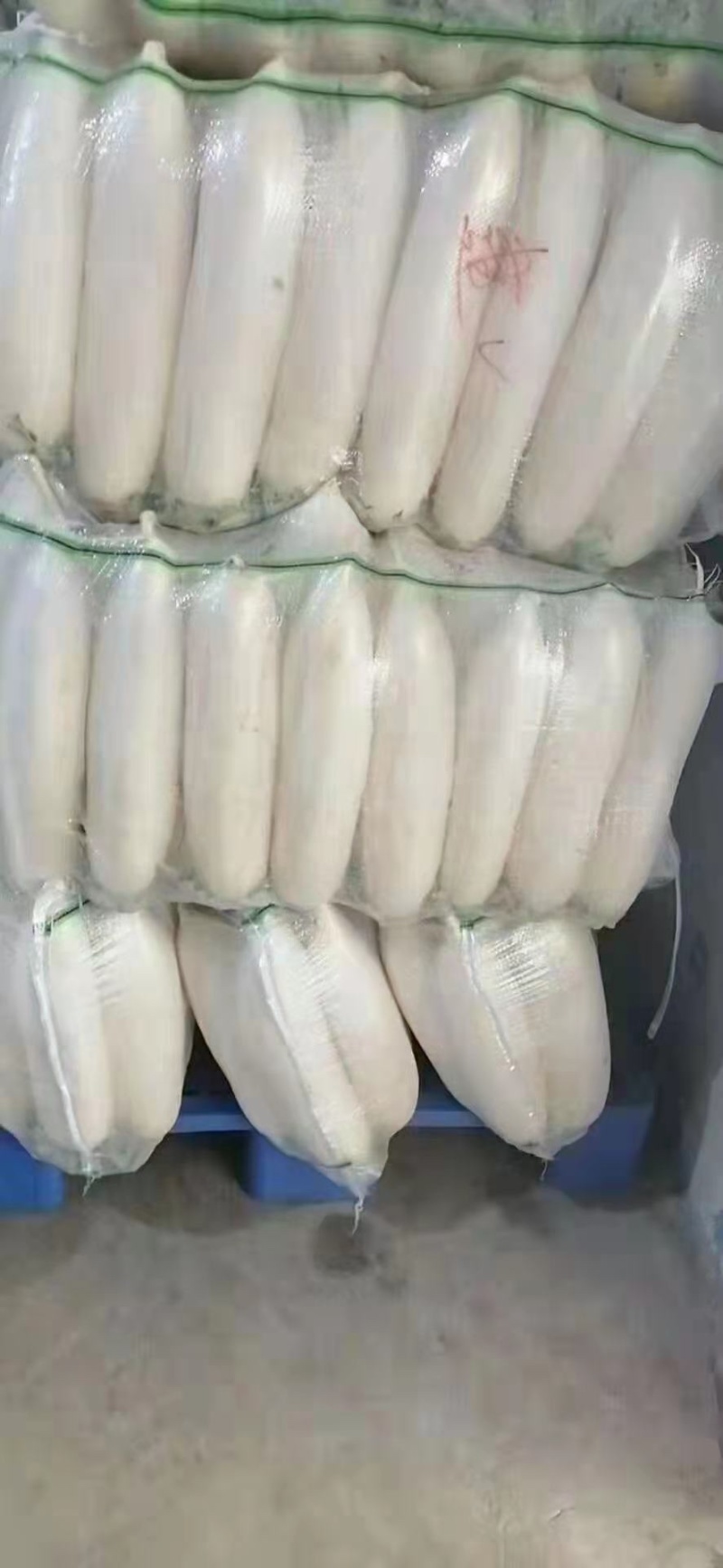 精品白萝卜，产地直发，诚信代办，物美价廉。
