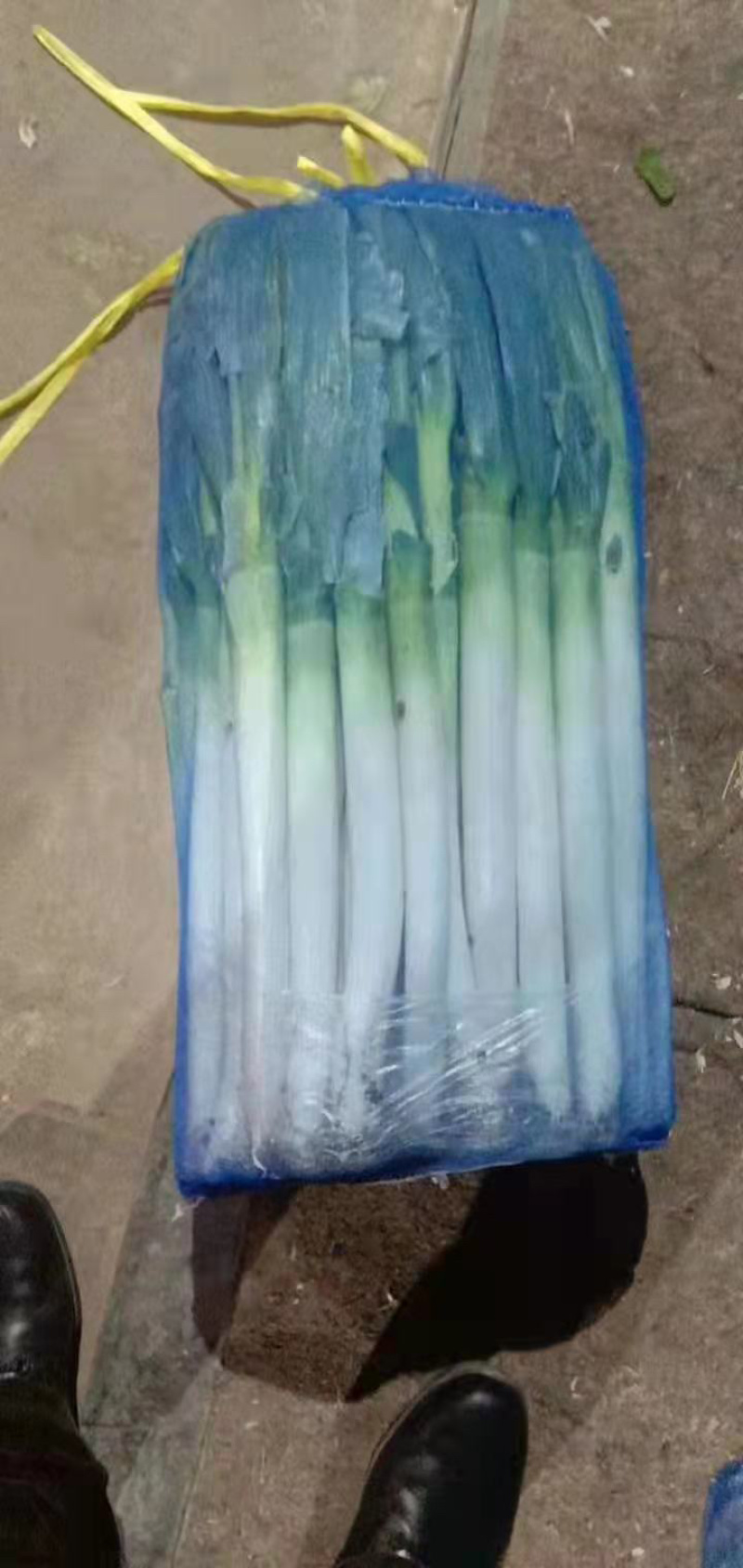 精品铁杆大葱，产地直发，诚信代办，物美价廉？
