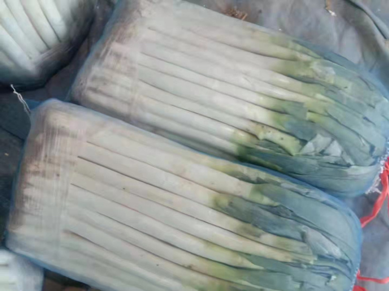 精品铁杆大葱，产地直发，诚信代办，物美价廉？