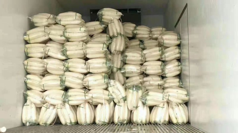 精品白萝卜，产地直发，诚信代办，物美价廉。