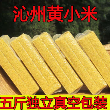 【沁州黄小米】山西沁州黄小米新货香味浓郁米柚粘稠包邮