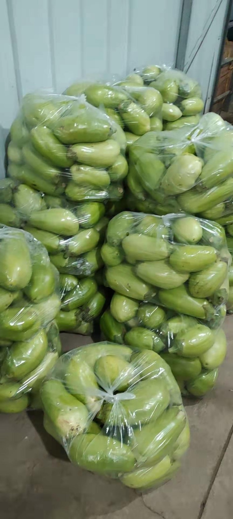 精品茄子，诚信代办，产地直销，一次合作终身受益。