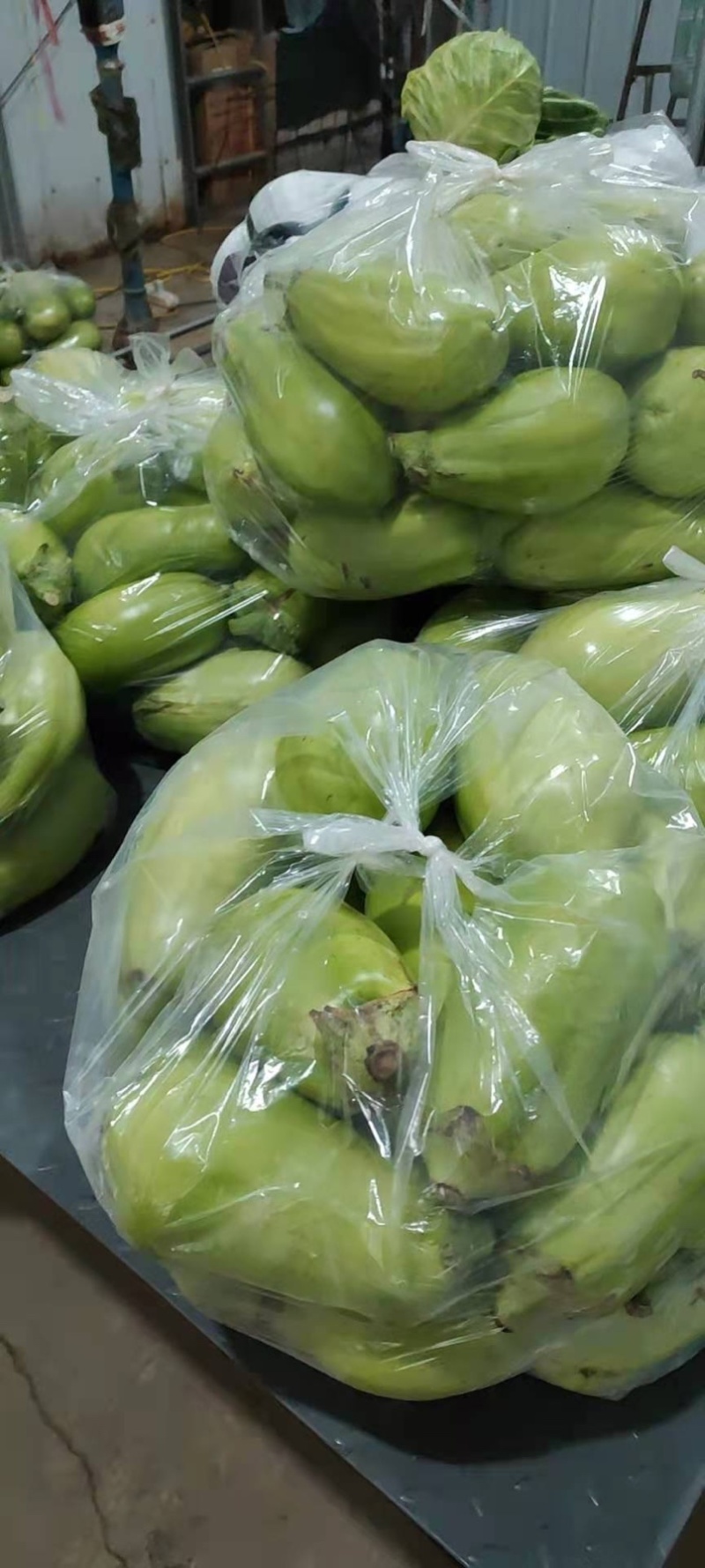 精品茄子，诚信代办，产地直销，一次合作终身受益。