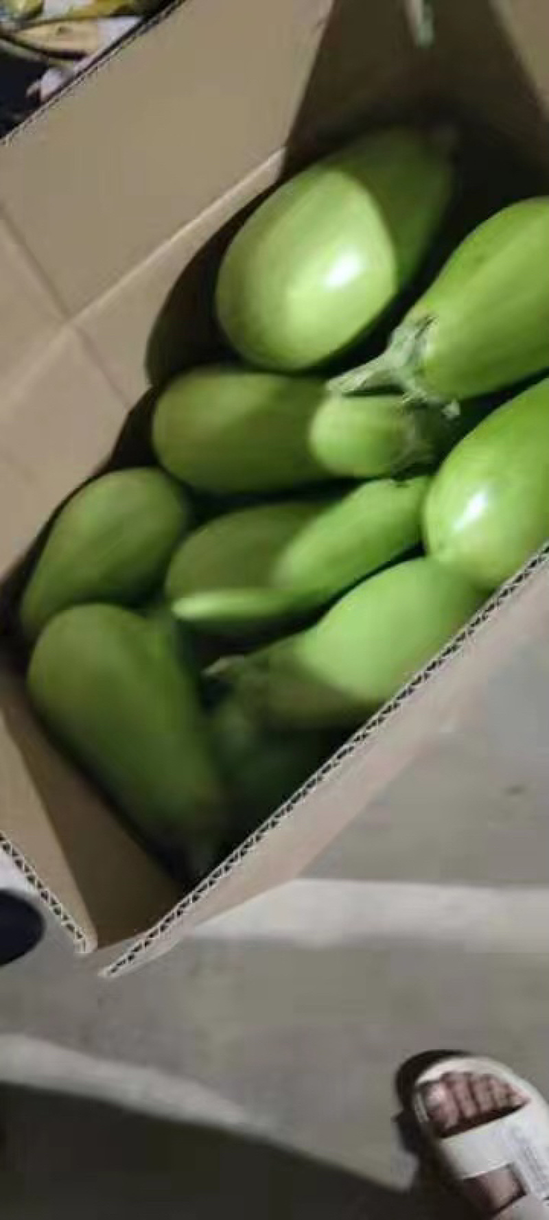 精品茄子，诚信代办，产地直销，一次合作终身受益。